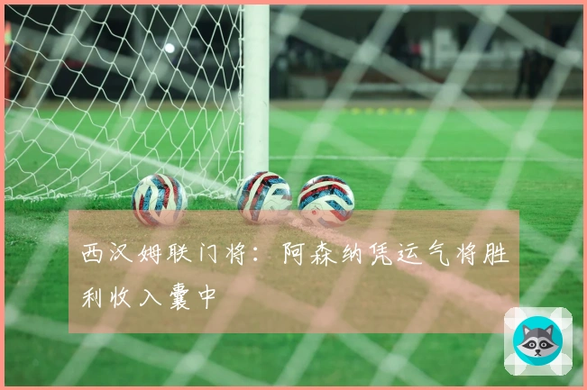 西汉姆联门将：阿森纳凭运气将胜利收入囊中